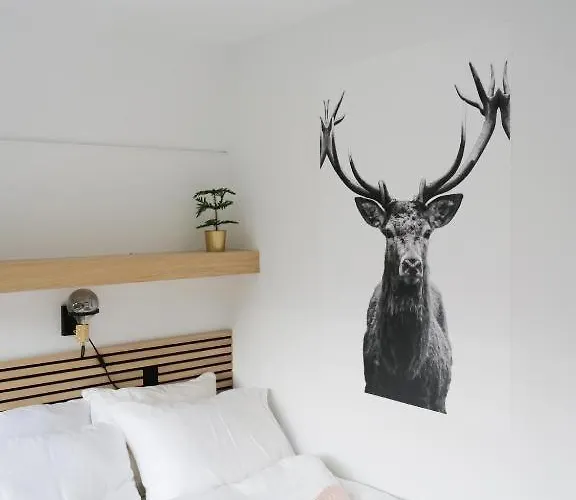 Haus Heidi - Luxurious Near Skilift Appartement *