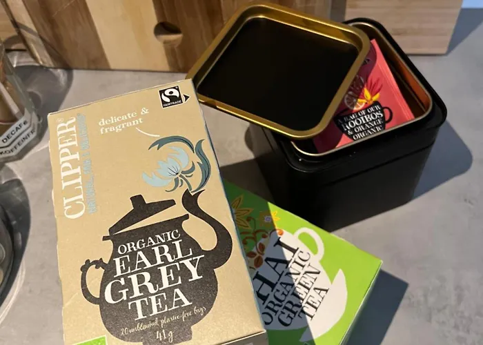 Haus Heidi - Luxurious Near Skilift Appartement *