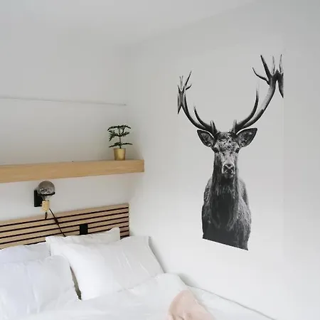 Haus Heidi - Luxurious Near Skilift Apartment *